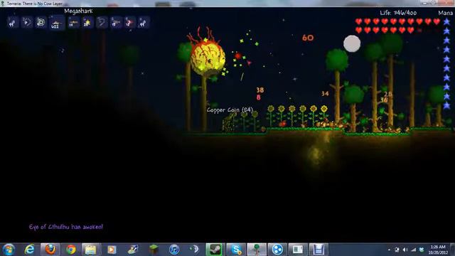 1.1.2 terraria server (hamachi)