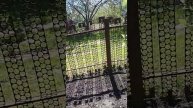 Садим элитный сорт картофеля на даче .Ждем урожая...