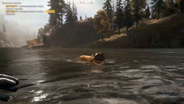 Far Cry 5 обзор - ПУМА ЗАСТАЛА В РАСПЛОХ ПРИ ЛОВЛЕ РЫБЫ far cry 5 прохождение