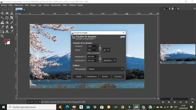 TUTORIAL GIMP 2.10.20 - escala en una imagen