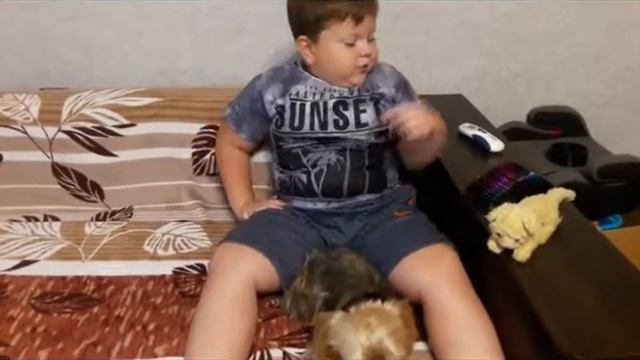 Мой домашний питомец. Йорк. Николь. 4,5 года