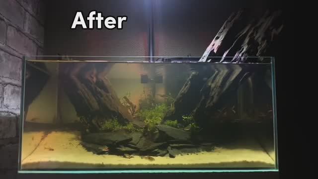 Как сделать Чистую и светлую воду в Аквариуме