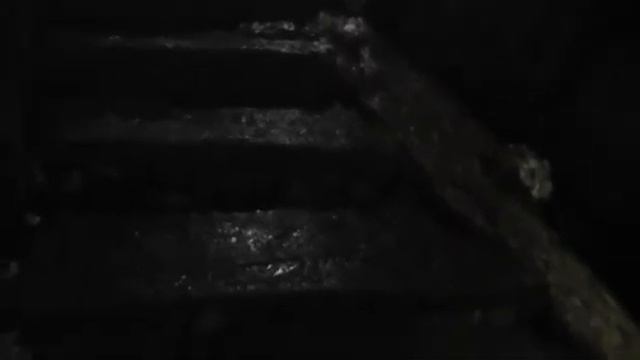 Воронцовские пещеры в Сочи : подземное царство.