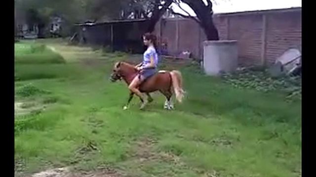 Beautiful Rider on Pony