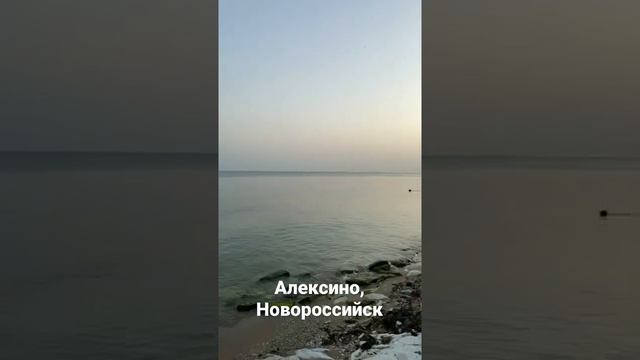 Последнии дни августа 2021. Вечер, море, плывут собаки!.mp4