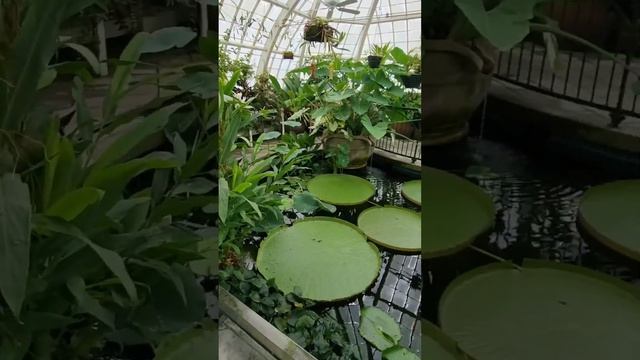 Conservatory of Flowers | San Francisco | Nature Loves |Floral beauty ??