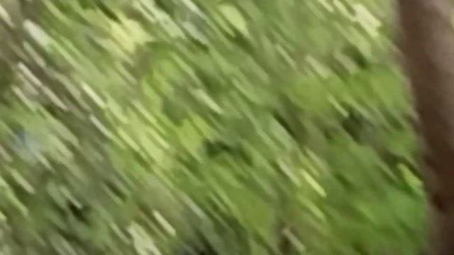 узнали где живёт бабка грени 2 часть