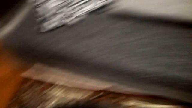 Хаски грызет обувь / Puppy Chewing Shoes