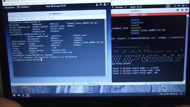 Comprobación de go-http-tunnel