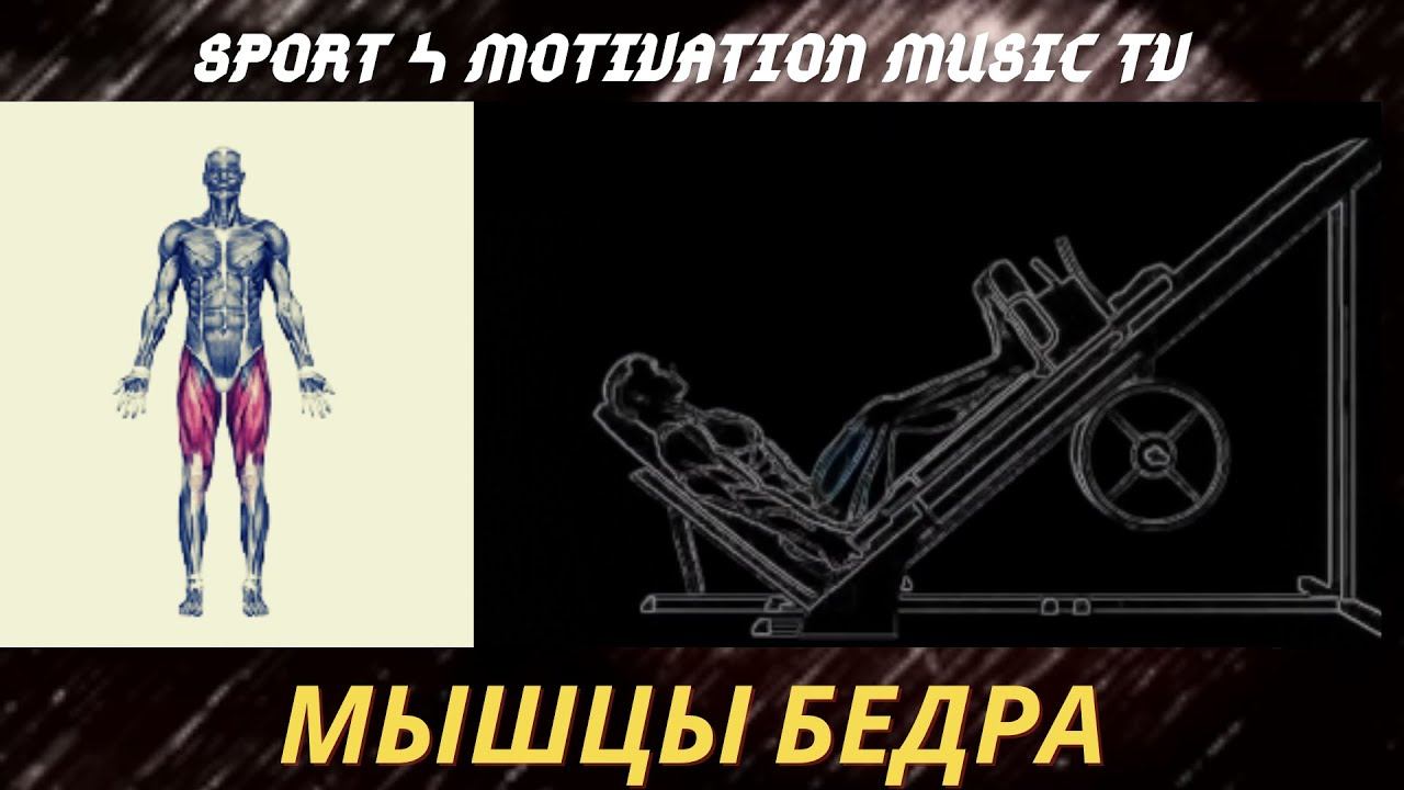 Жим ногами в тренажере.