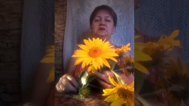 Светлана Беликина    кавер-версия    В лунном сиянии... Муз. и сл. Евгения Дмитриевича Юрьева