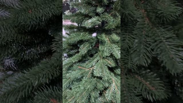 Искусственная елка