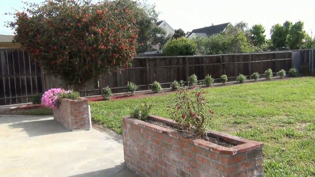 США 1570: Кустарник и лимонное дерево - ставим на счетчик