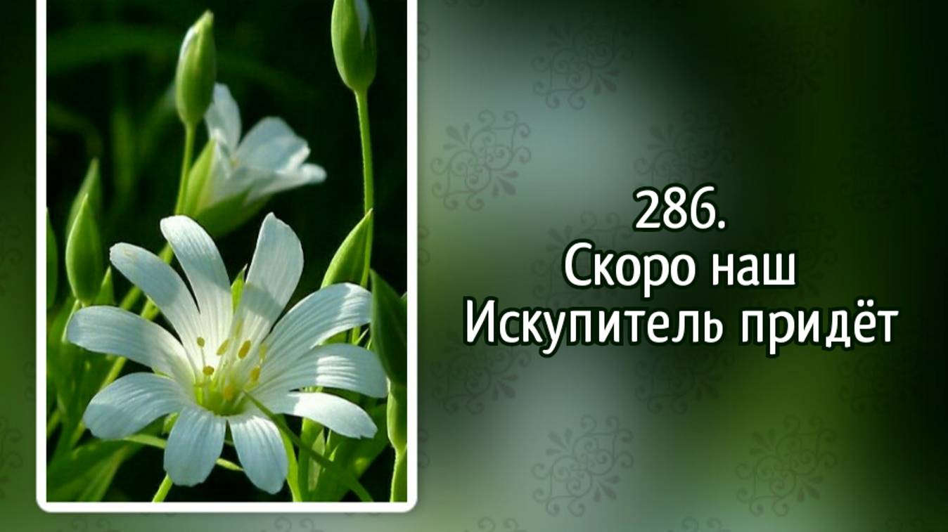 Гимны надежды 286 Скоро наш Искупитель придёт (-)