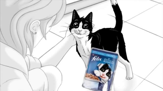 Felix - Echt clever!