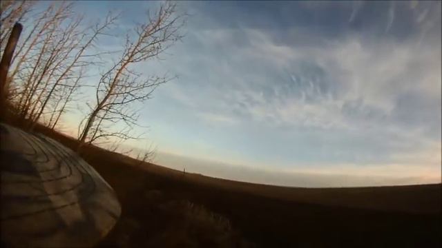 Первый гусь 2015. Клоун жив! Канада.