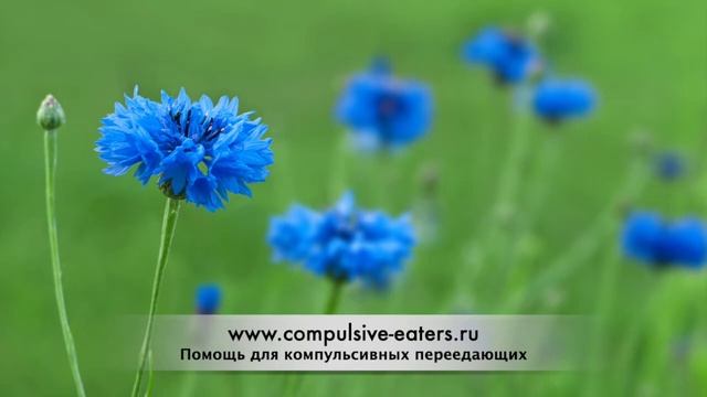 Компульсивное переедание: Дженн Д. история выздоровления