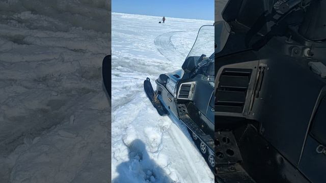 Обед на льду/Подпишись☝🏻🤝🏻