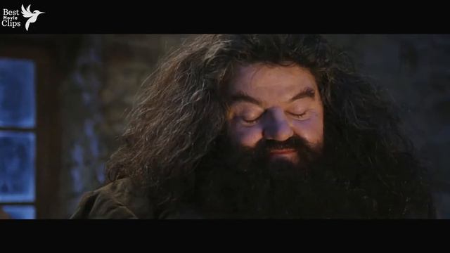 Hagrid visits Harry on his 11th b'day and gives Dudley a pigtail | Harry Potter and Sorcerer's Ston