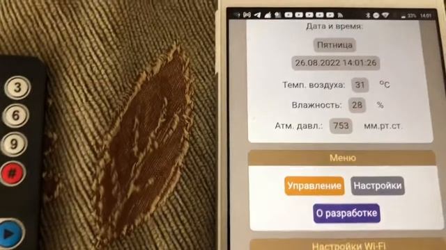 Электронный домовёнок КУЗЯ