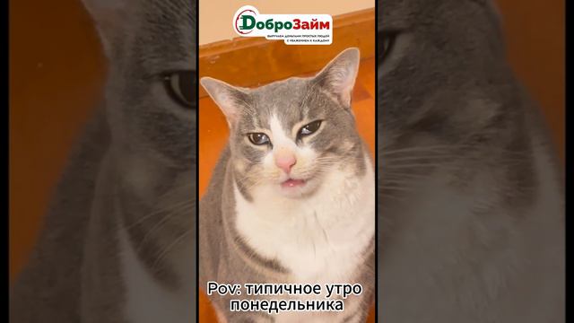 Утро понедельника