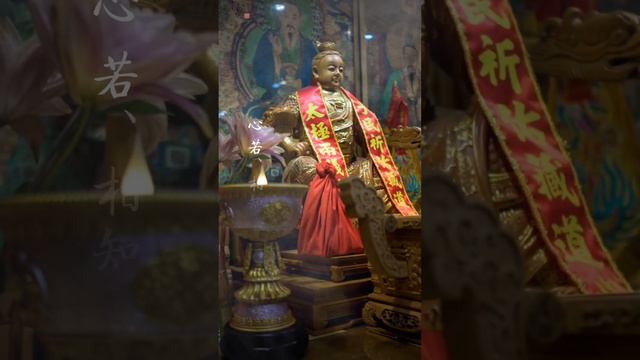 【仁武子龍宮】每星期五 晚上7點 開始仁武子龍宮主公 九龍太子金剛菩薩濟世 問事
