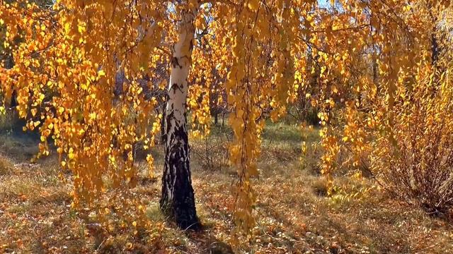 Осенняя песнь