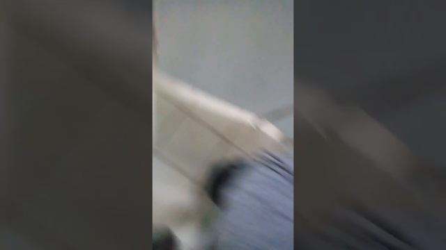 тупые школьники орут в туалете