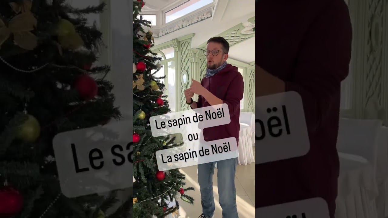 Le ou la sapin de Noël #lefrançais le genre de quels mots tu confonds en français ?