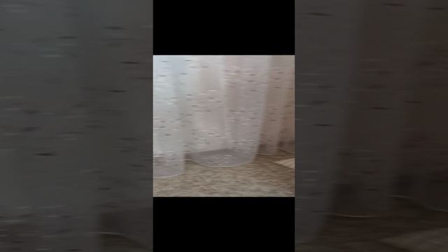 Смотрим погоду!