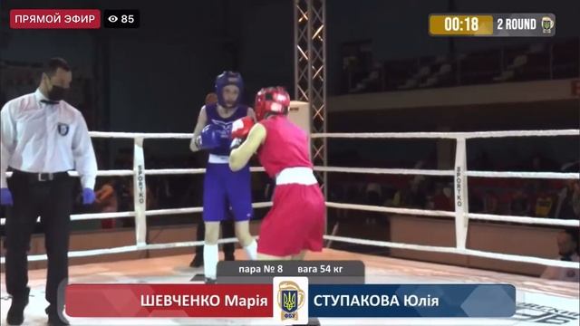 Шевченко Марія- Ступакова Юлія