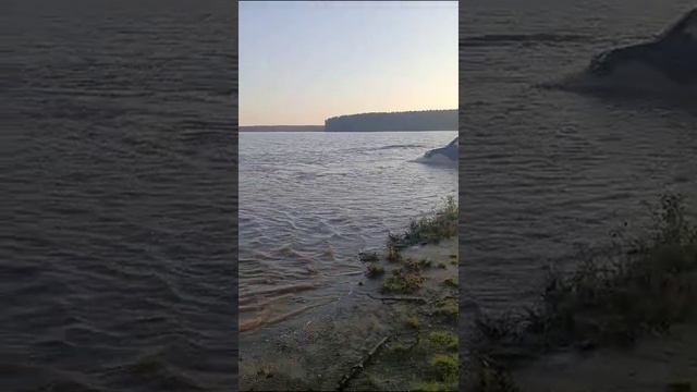 1000245084.mp4