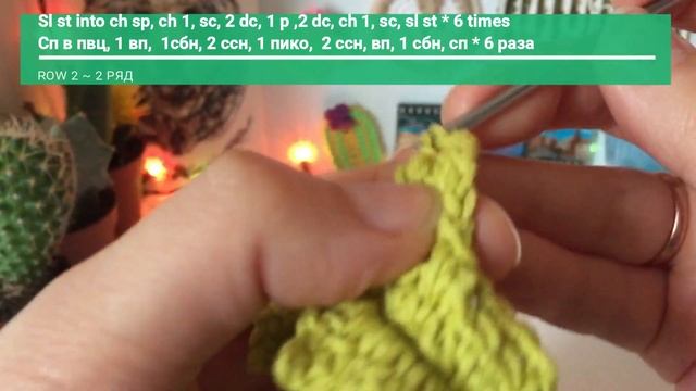 Crochet succulent tutorial