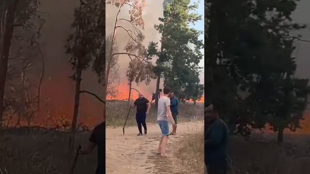 Жители Воронежа помогают пожарным в борьбе с масштабным лесным пожаром в Ямном Рамоского района.