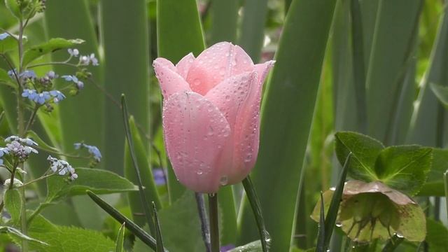 Guided Meditation For Instant Relaxation Response