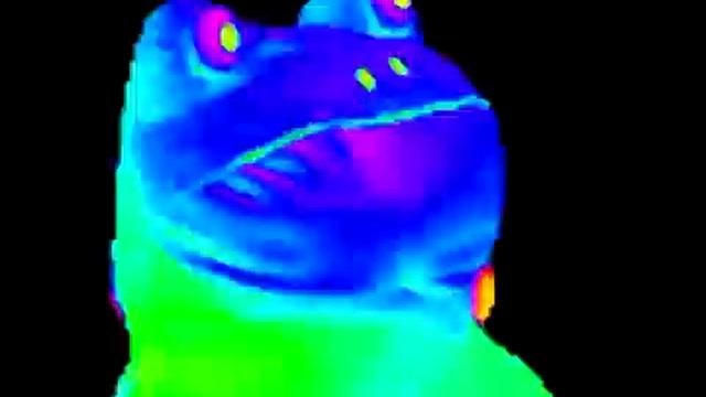 MLG Frog Meme