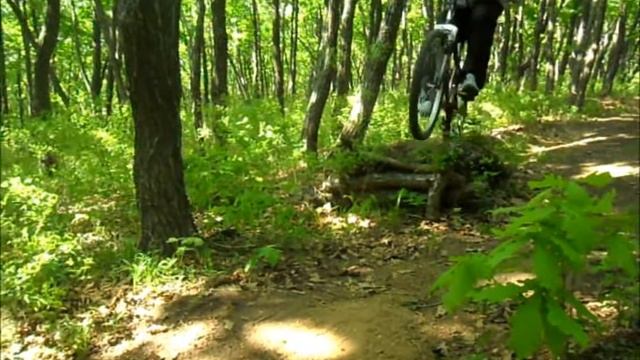 Покатушки на трамплинах  FatbikeMTB 1