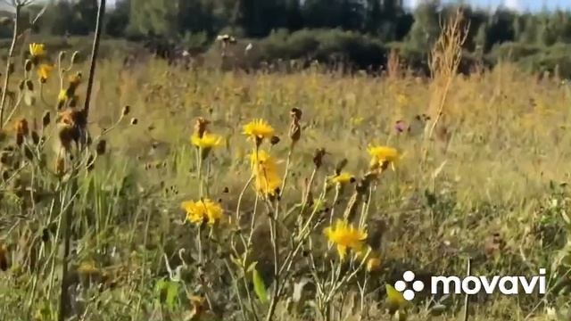 Река Клязьма
