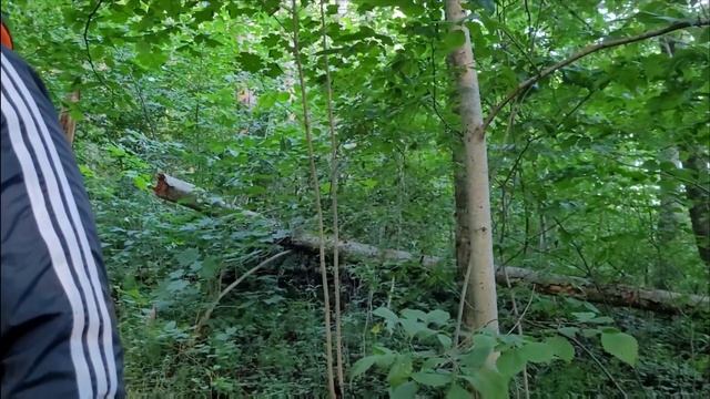 Рыбалка на реке Оредеж.  Ищем место для стоянки.