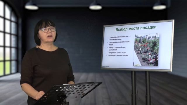 Выращивание КЛЕМАТИСОВ. Видеолекция
