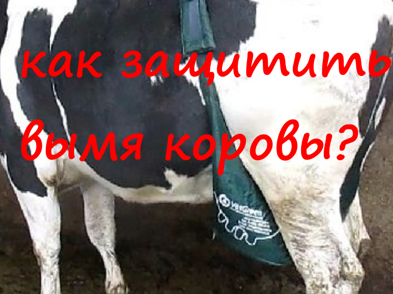канал животноводство крс1.mp4