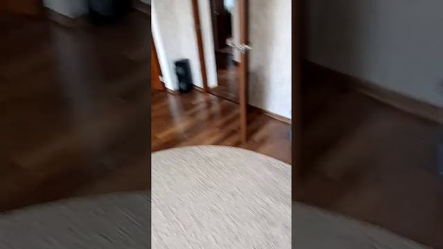 умный дом Яндекса.