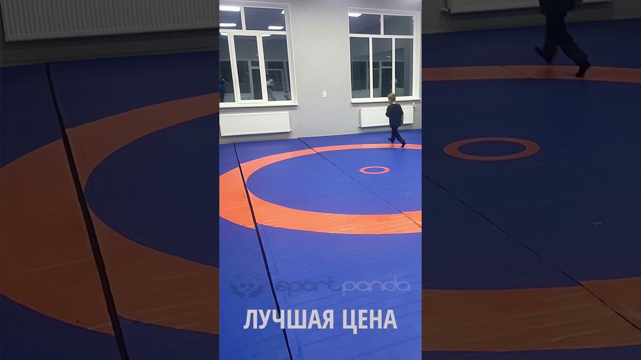 Погрузитесь в мир занятий спортом/ролл-маты/ #fit #gym #healthy #crossfit