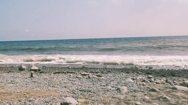 VID_20230727_151540.mp4