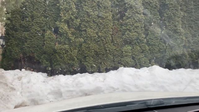 2 артиста в один День