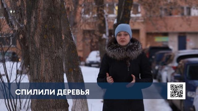 Нижнекамцам объяснили, для чего производится спил и обрезка деревьев