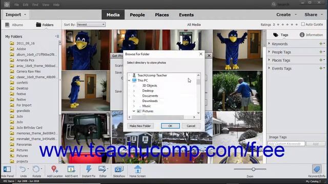 Photoshop Elements 2019 Tutorial Importing Photos from a Scanner Adobe Training