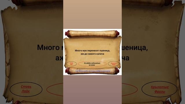 Пословицыпоговорки
