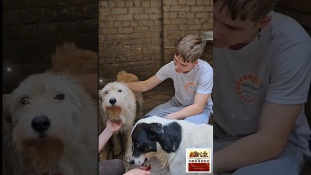 Кто поймет тебя лучше, чем тот, кто испытал тоже…