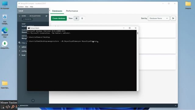 MongoDb Yedekleme - İçe ve Dışa Aktarma - MongoDump ve Mongorestore